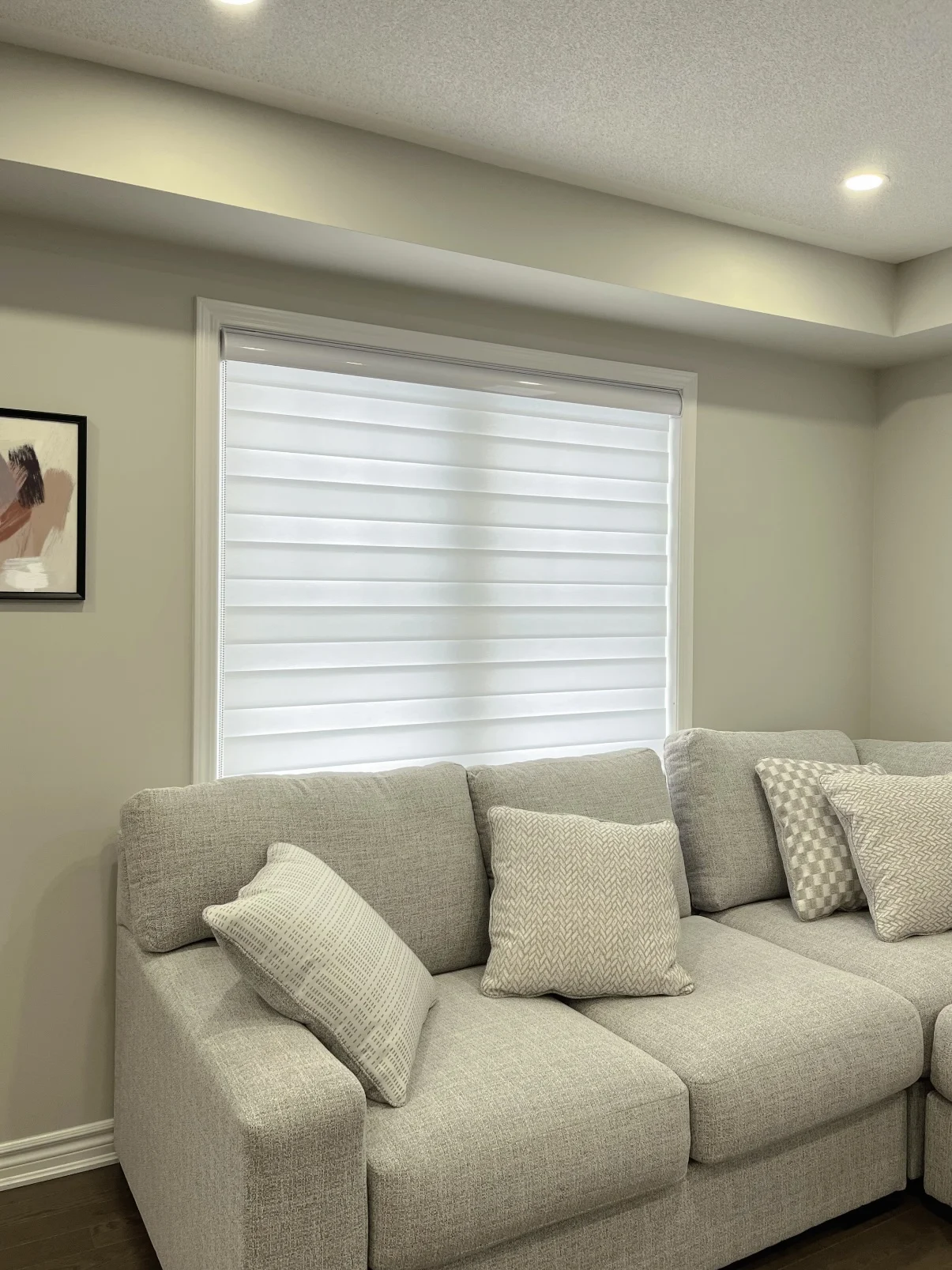 Zebra Blinds Smart Day & Night  - Remote & WiFi Voice Control for Tuya/Google/Alexa. Adjustable Light Filtering & Privacy Shades