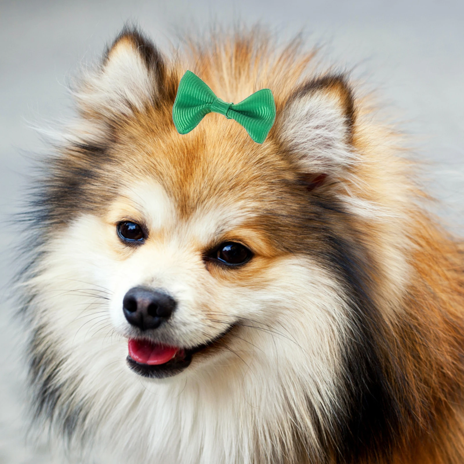 

40Pcs Pet Bows for Dogs Soft Lightweight Easy to Use Charming and Attractive Photo Prop Small Pets Female Dog Hair Accessories