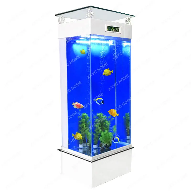 

Fish Tank Living Room Small Back Filter Aquarium Change Water Rectangular Super White Glass Vertical Cylinder