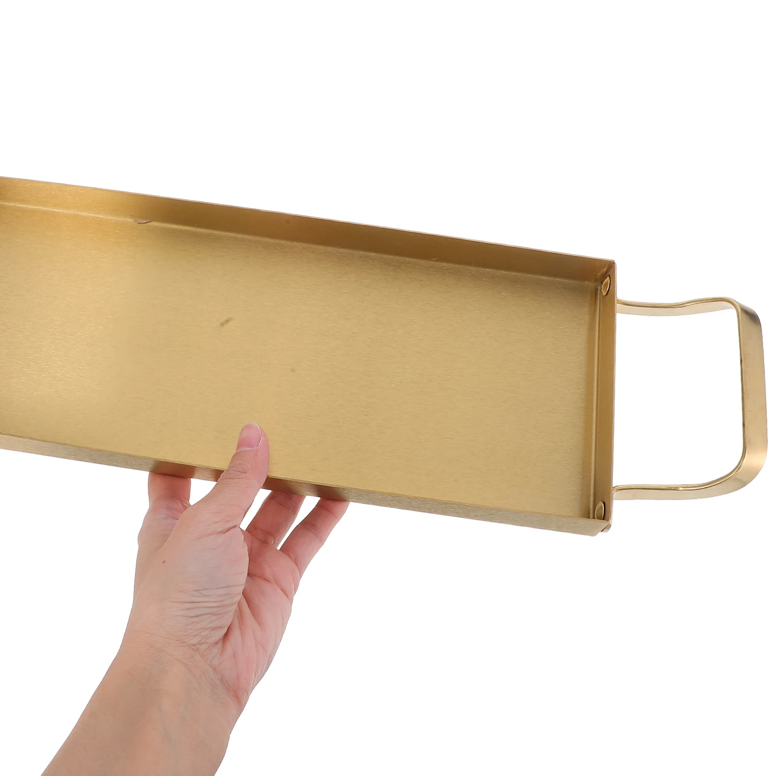 

Stainless Steel Barbecue Pan Appetizer Tray Cake Platter Golden Bbq Serving Camping Plate