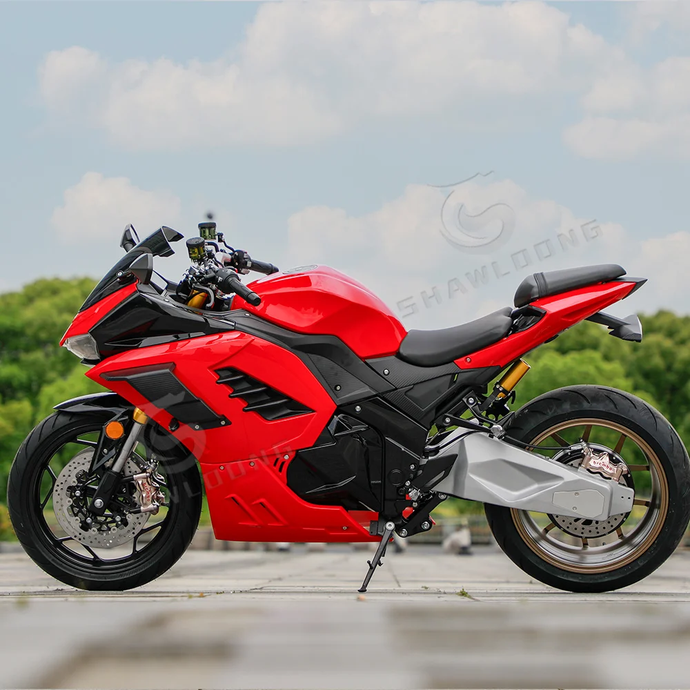 STLF Belarus  Electric Rcycle for Adults High-Speed Off-Road Bikes 8000W  10000W Lithium Battery 72V Voltage 3000W 80km/h