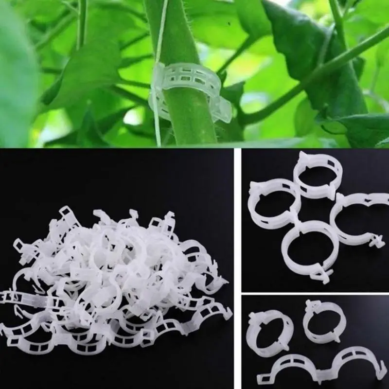 100pcs Garden Vegetables Tomato Vine Stalks Grow Upright Support Plant Clips For Cucumber Carob Garter Plants Agriculture