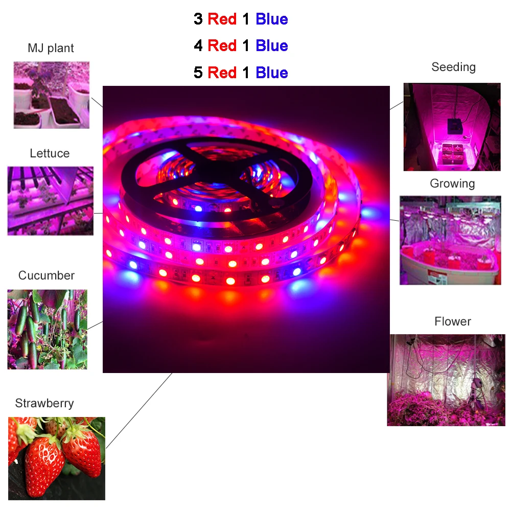 12V 5M SMD 5050 LED Fitolampy Grow Lights 60LEDs/m Phyto Lamps Full Spectrum LED Strip Light For Greenhouse Hydroponic plant