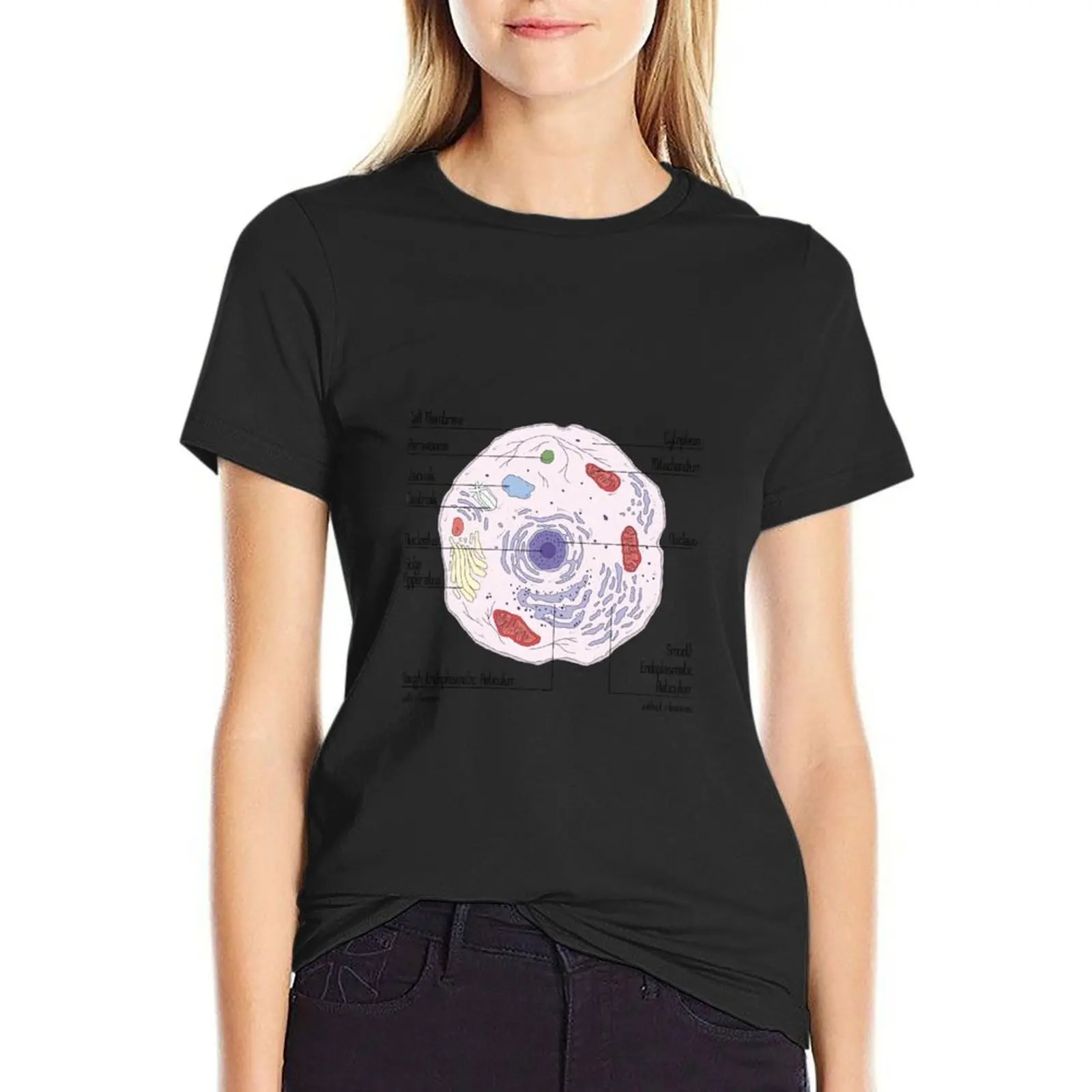 

Animal Cell T-Shirt lady clothes Female clothing Short sleeve tee quick drying korean Women's clothes
