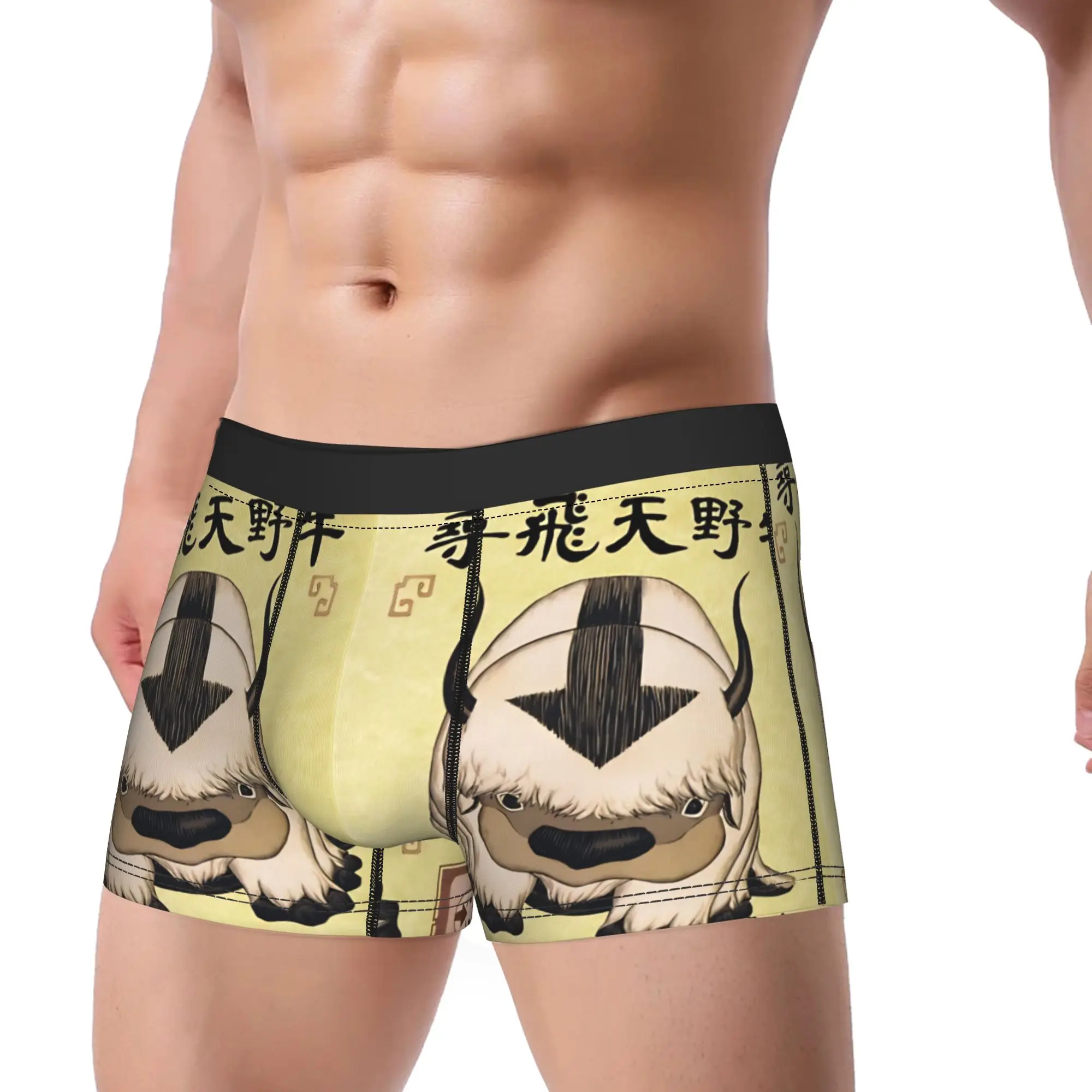 Appa Missing Poster Avatars Anime Underwear  Men Panties Pattern Breathable Boxer Shorts Quality Shorts Briefs Plus Size