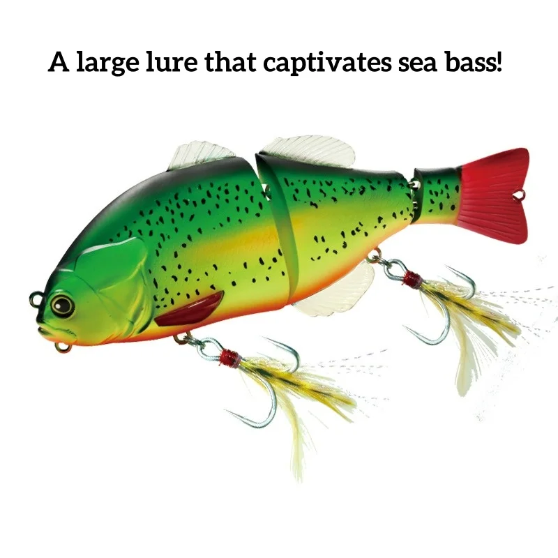 

Swolfy 2Pcs 16cm 70g Realistic Multi Section Fish Shape Floating Lure Long Casting Hard Baits Freshwater Saltwater Fishing Gear