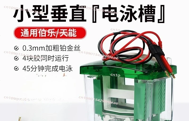 Mini Vertical Protein Electrophoresis Tank SDS-PAGE Gel Tank Compatible with Bio-Rad Mini-Protean Tetra & Tanon