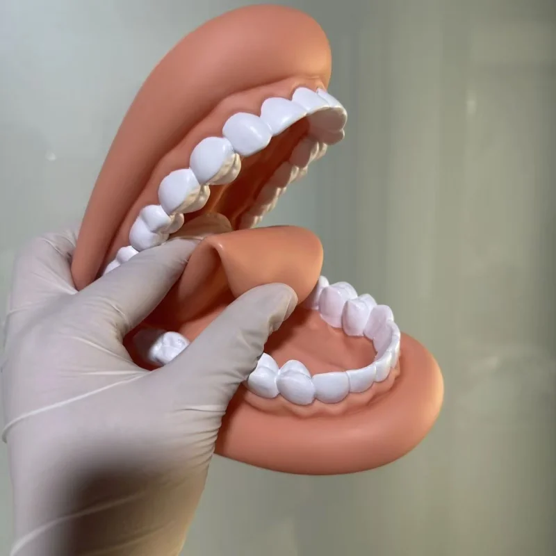 1Pcs Dental Model Mighty Mouth Hand Puppet With Tongue For Speech Therapy Dentist / Educational Learning Resource For Children