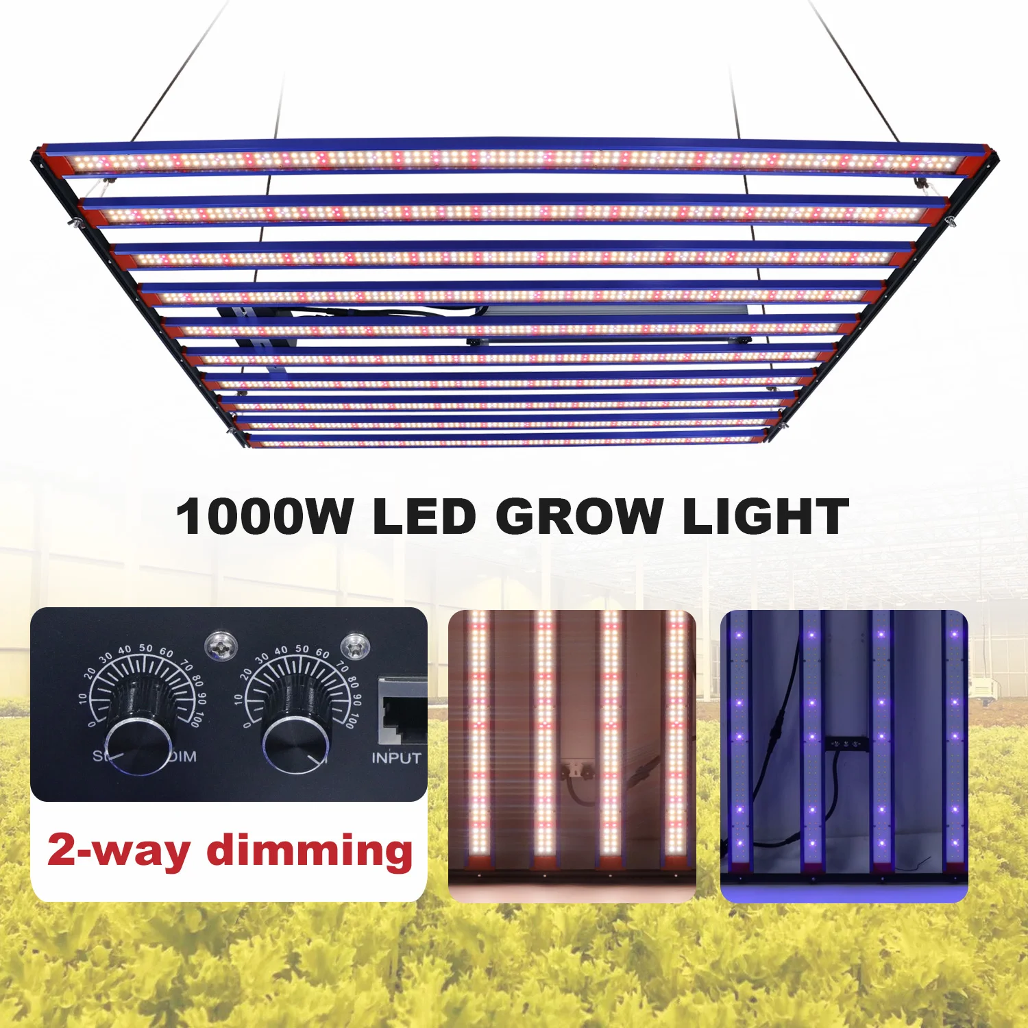 YXO 1000W Spettro Completo LED Coltiva la luce Sam-sung LM301HEVO Quantum Tech LED Coltiva la barra luminosa UV IR Accensione/spegnimento Per la lampada Phyto