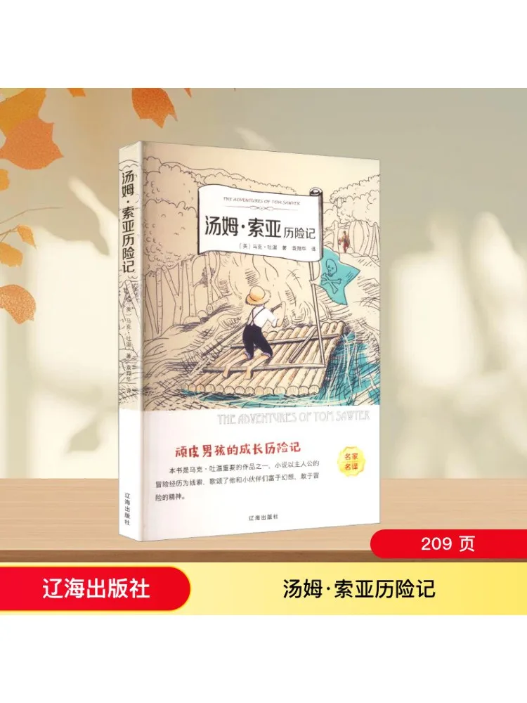 

Книга-Winshare Приключения Тома Сойера Известные переводнения