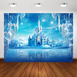 Winter Frozen Party supplies Background Decoration Frozen Snow flower photography banner Winter Wonderland Snow  background