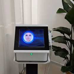 2025 Instrumento de belleza para el hogar Máquina Rf Estiramiento facial Sistema de microagujas Rf fraccional Máquina de belleza multifunción Rf fraccional