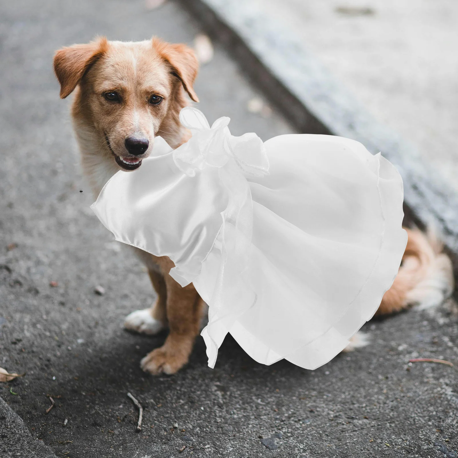 

Dog Wedding Outfit Purple Bowknot Princess Dress Pet Formal Tutu Skirt Party Clothes Purple Dog Dress Pets Wedding Outfit
