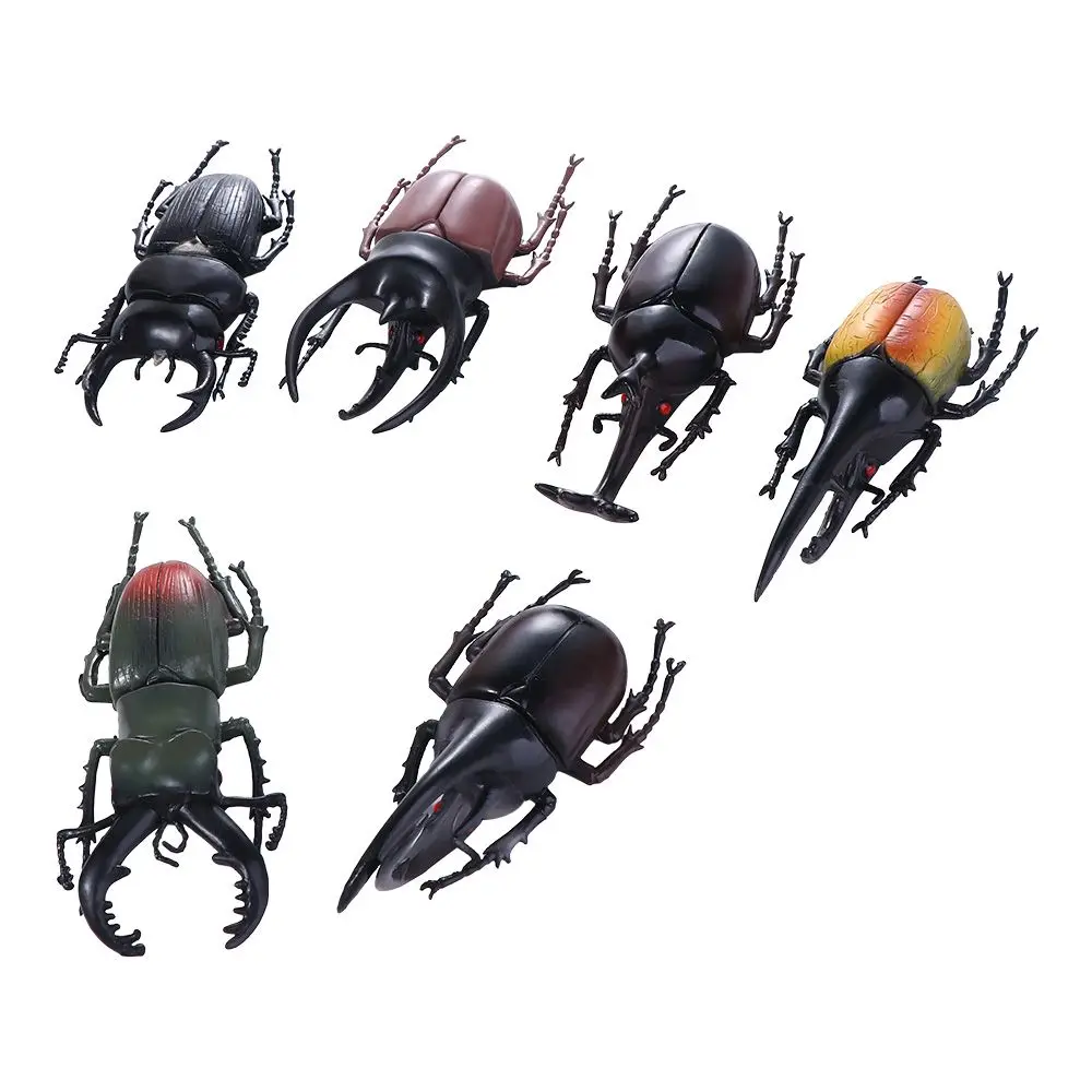 Collection Insect Toy Fake Beetle Kids Simulation Animals Simulation Beetle Special Lifelike Model Beetle Toys Insect Model