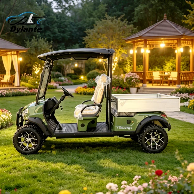 The Latest Trend Of Electric Vehicles Independently Suspended 60V Lithium Battery 2-4 Seats Electric Golf Cart With Cargo Box