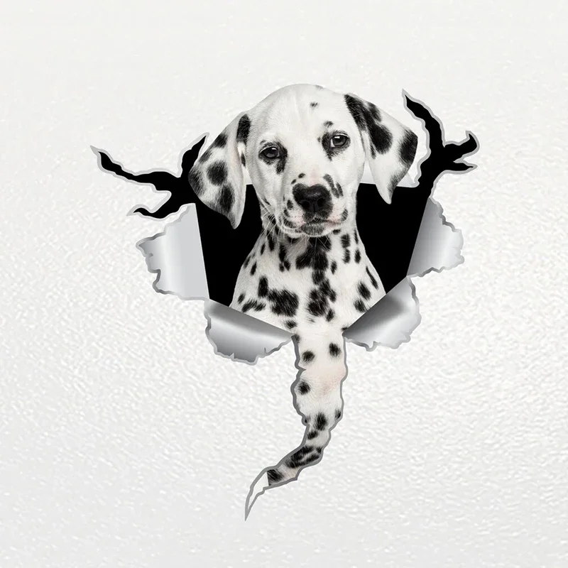 Car Sticker Dalmatian Dog Pet Animal Waterproof Vinyl Decal Car Accessories Decor Pegatinas Para Coche