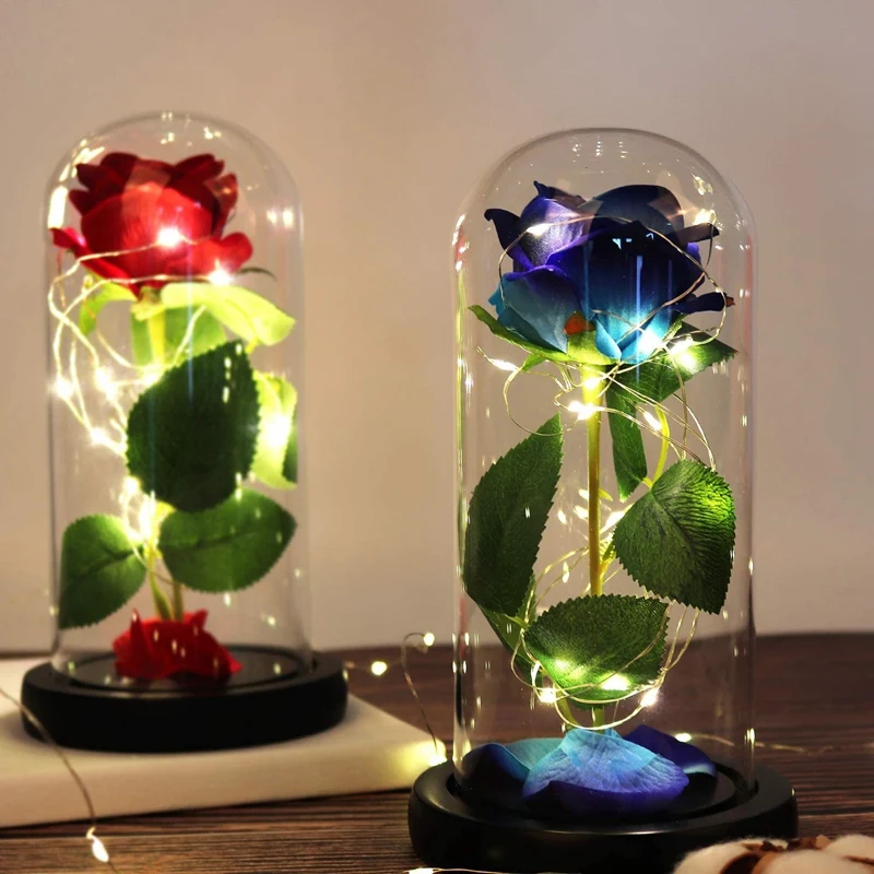 Fleur avec lumière LED en verre pour femme, rose qui dure pour toujours, meilleur cadeau d'anniversaire pour la fête des mères de Léon, breton