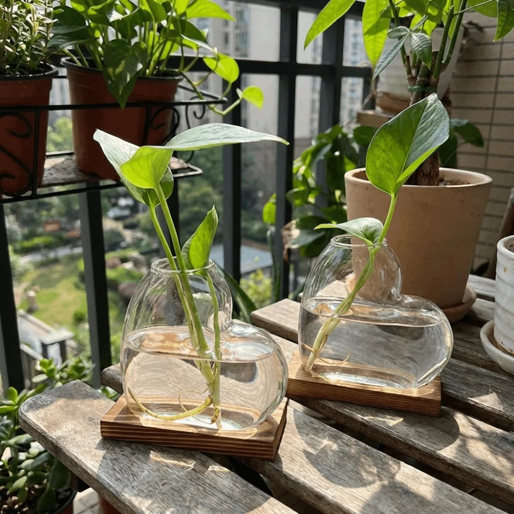 Vase Rack Transparent Hydroponic Glass Vase Decorative Minimalist Tabletop Plant Vase Wooden Stand Mini Terrarium Living Room