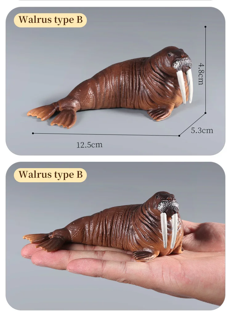 Simulations-Actionfiguren „Ozean, Meer, Leben, Tiere – Walross, Seekuh, Seelöwe, Lernspielzeug für Kinder, Marine-Modell-Kollektion – Detail 14