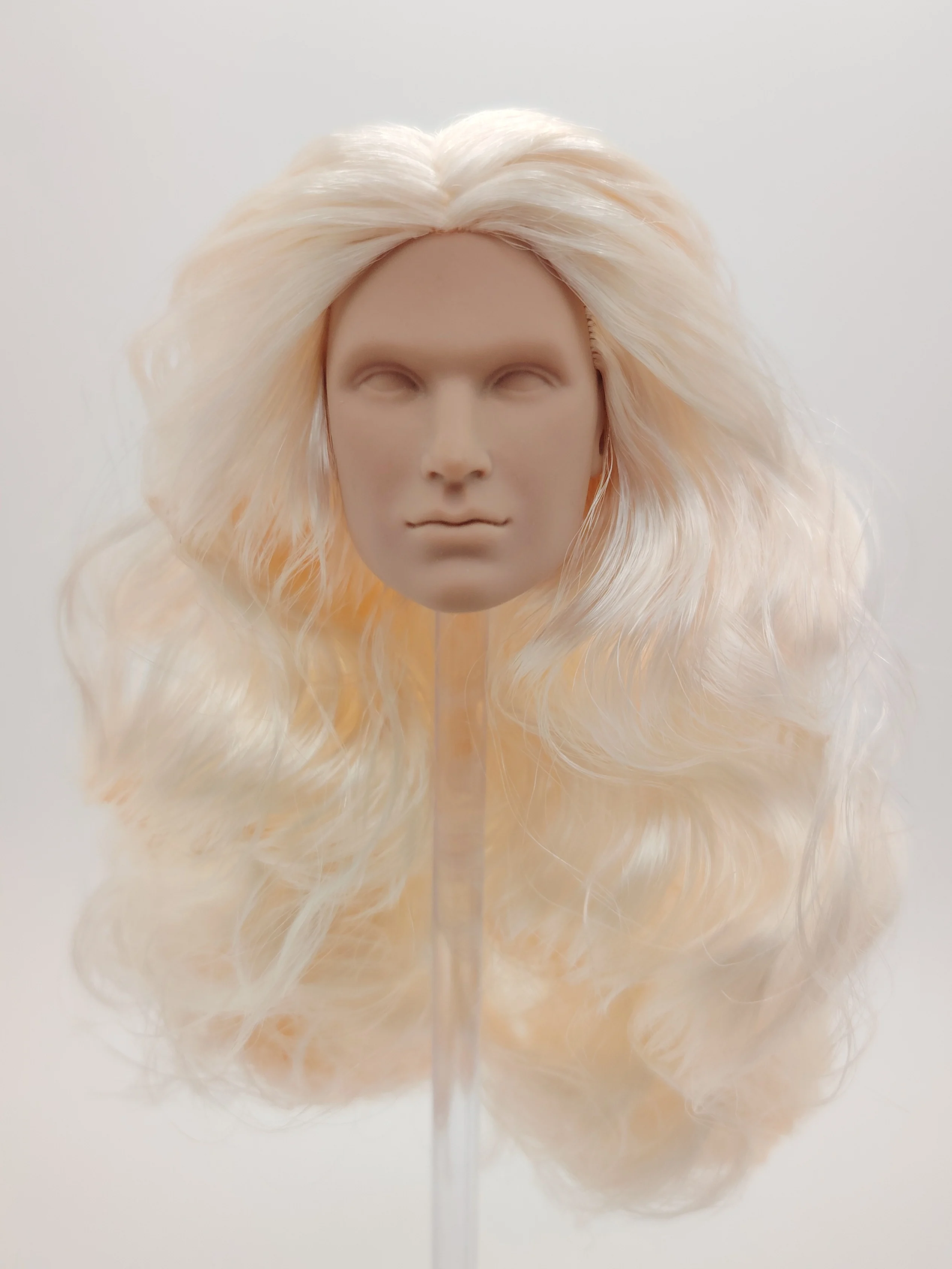

Fashion Royalty Color Infusion FR White Skin Sterling Reise Rio Pacheco Integrity Male Doll Head