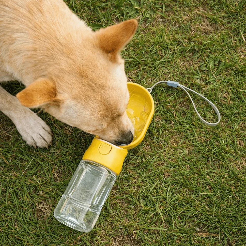 

Leak-proof Outdoor Dog Water Bottle with Filter Sealed Dog Water Dispenser Detachable Press Design Dog Water Food Cup Cat