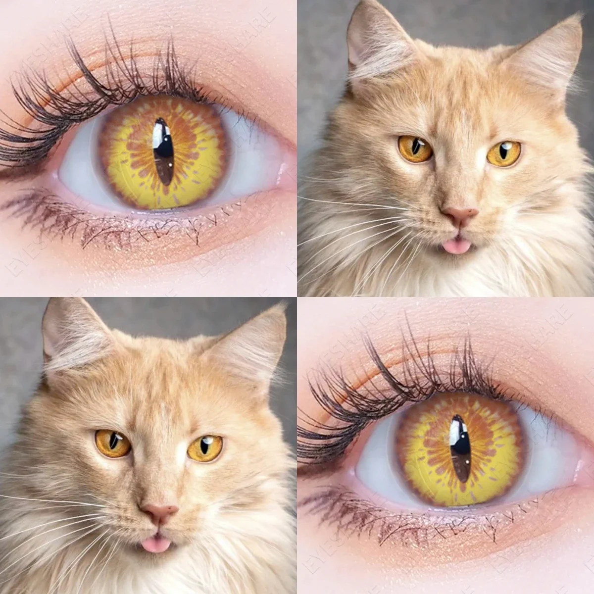 AMARA CAT EYE Cosplay Blue Color Contact Lenses for Eyes Yearly Makeup Halloween Beauty Yellow Contact Lenses Eye Cosmetic