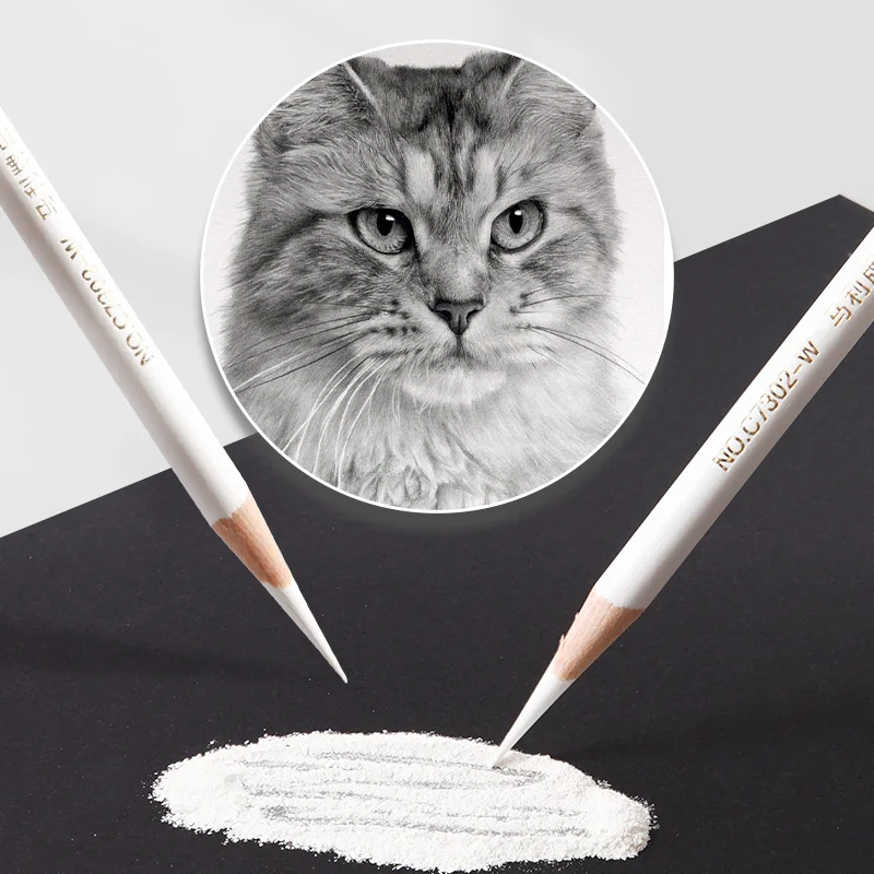 12pcs Marie\'s White Charcoal Pencils Set,Sketch Highlight Pencils,for Sketching,Shading,Blending,Supplies for Beginners,Artists