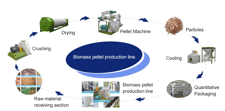เครื่องผลิตเม็ดชีวมวล เครื่องบดเม็ดชีวมวล 10 ตันต่อชั่วโมง สายการผลิตเม็ดเชื้อเพลิงจากแกลบ
