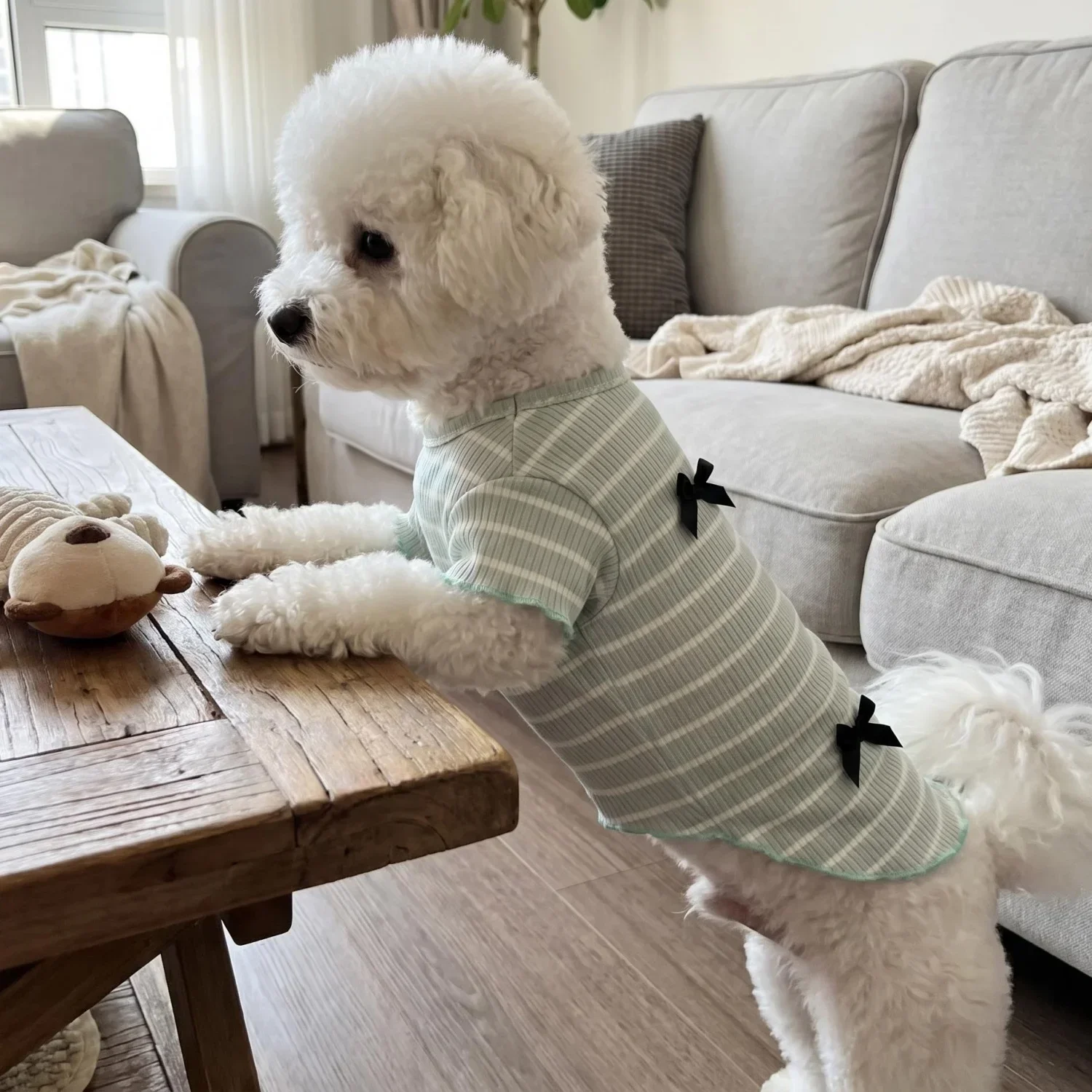 1 Stück Niedliches Hundeshirt mit Schleifendekoration, Gestreift, Weich, Dehnbar, Gerippt, Katzen-T-Shirt, Frühling Sommer Atmungsaktive Haustierkleidung – Detail 24