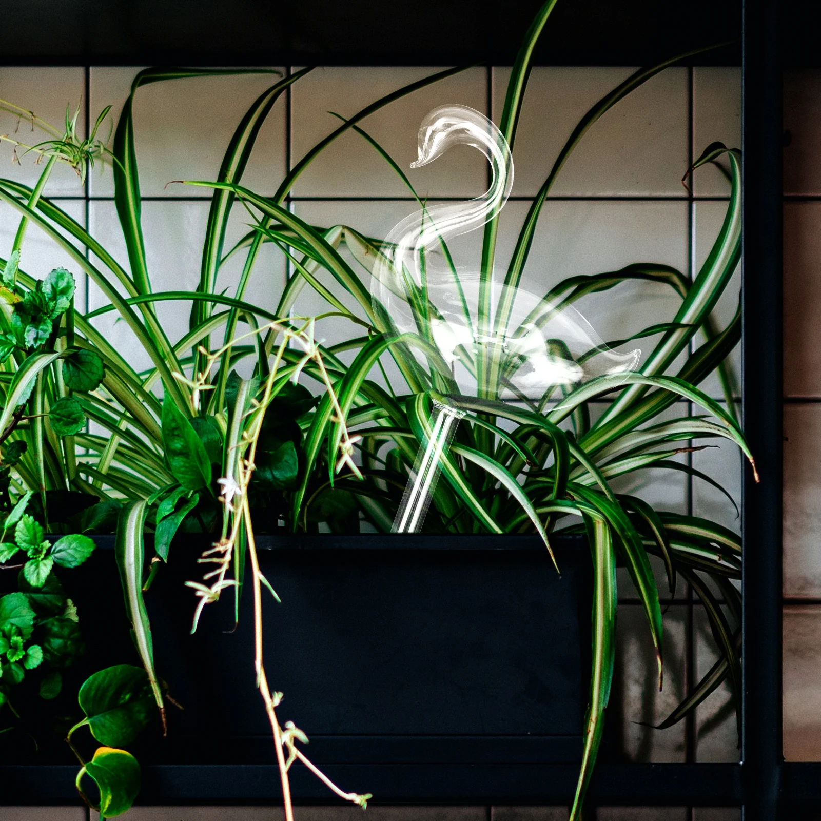 

High-Grade Transparent Automatic Watering Device Practical Plant Watering Globes for Indoor Outdoor