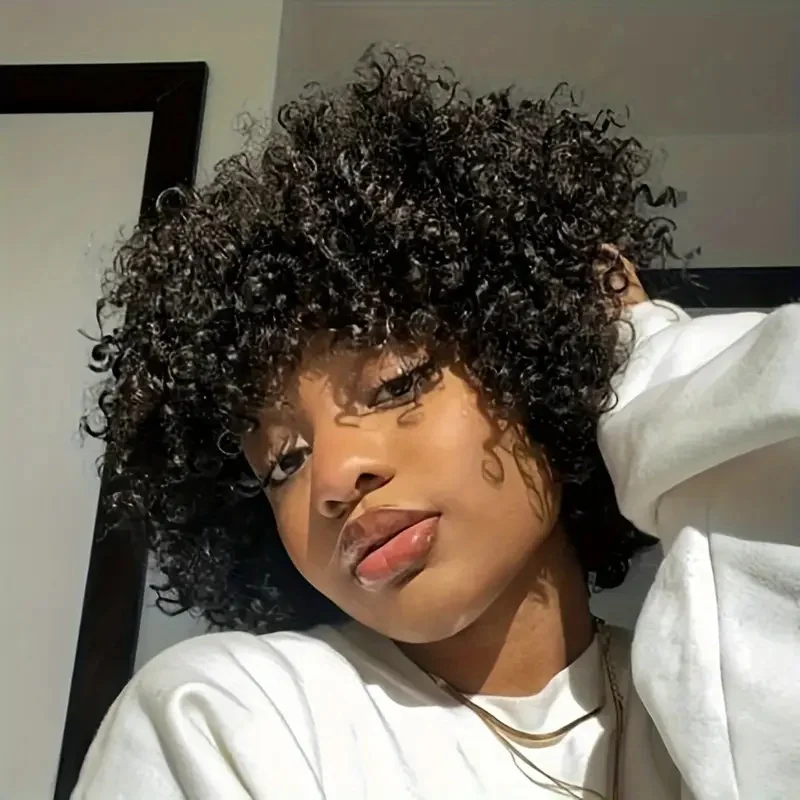 

Short Curly Wigs For Black Women Fluffy Afro Human Hair Wigs