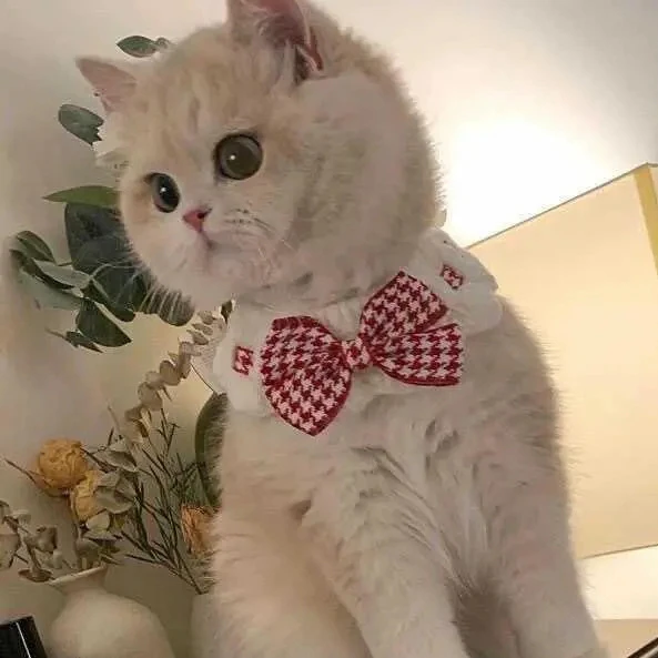 Christmas Cat Decor Red and Black Checkered Pet Collar Bib Water Towel Knitted Collar Used for Small Cat Bow Tie Christmas Gift