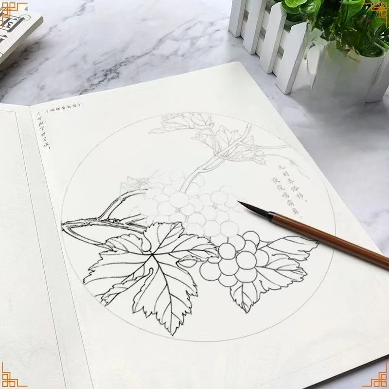 Chinese Painting White Drawing Books Brush Painting Drawing Manuscrip Copying Album Beginner Tracing Felt Tip Pen  Practice