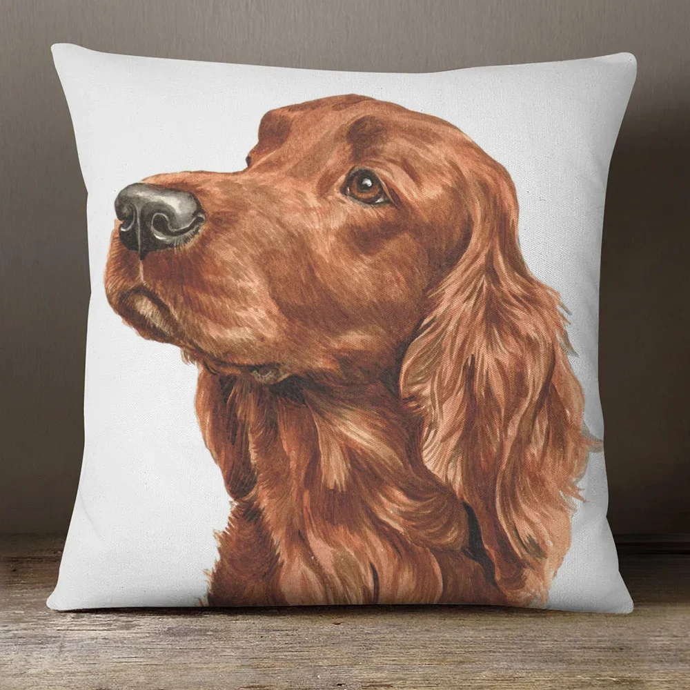 Irish Setter Springer Spaniel Dog Border Collie Whippet Dogs Poster Art Cushion Cover Pillow Case