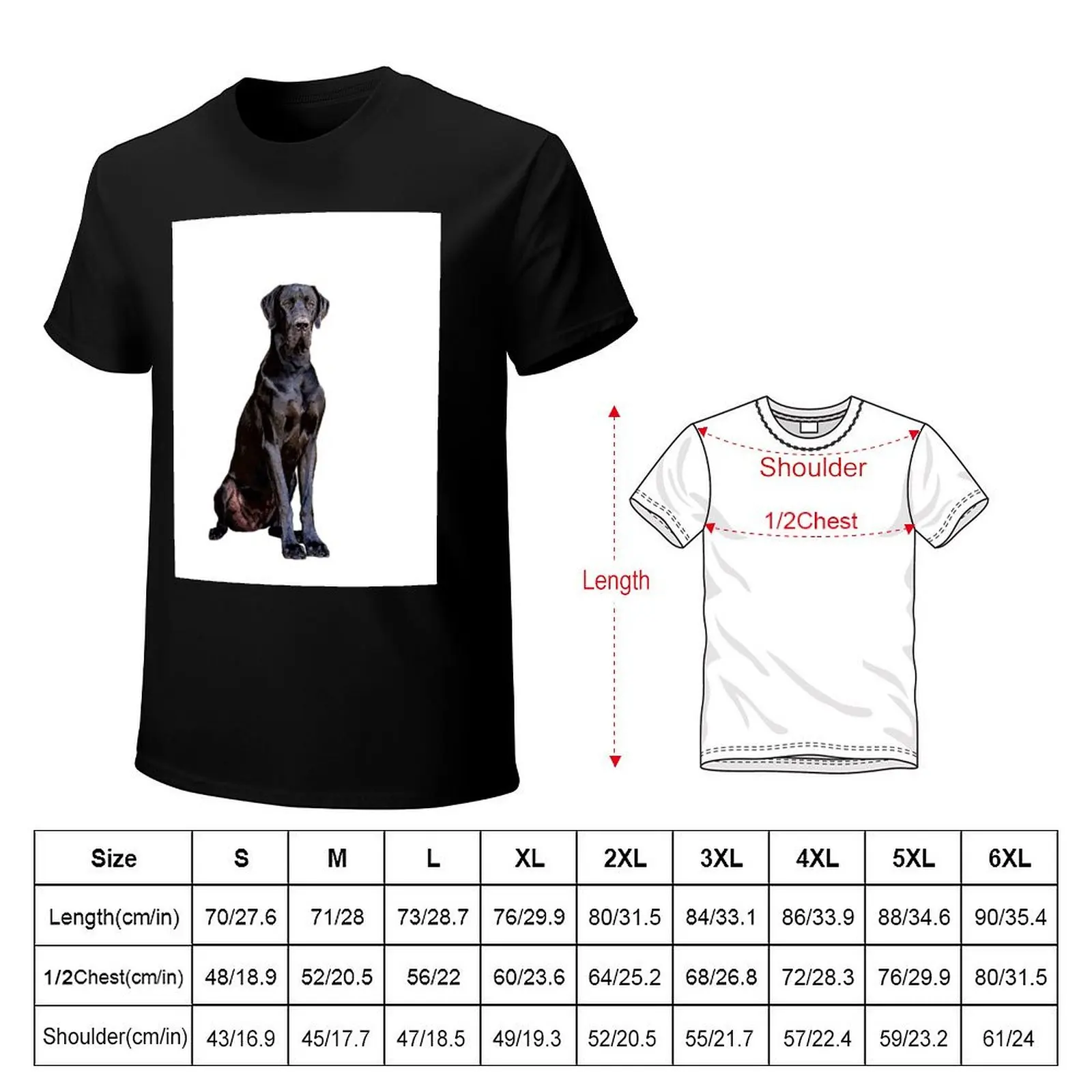 Great Dane Stunning Black Dog of Elegance T-Shirt t shirt man designer T-Shirt
