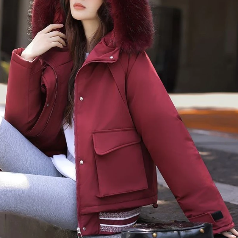 

Cotton Padded Women's 2025 New Winter Big Fur Collar Small Stature Thick Workwear Overcoming Student Jacket