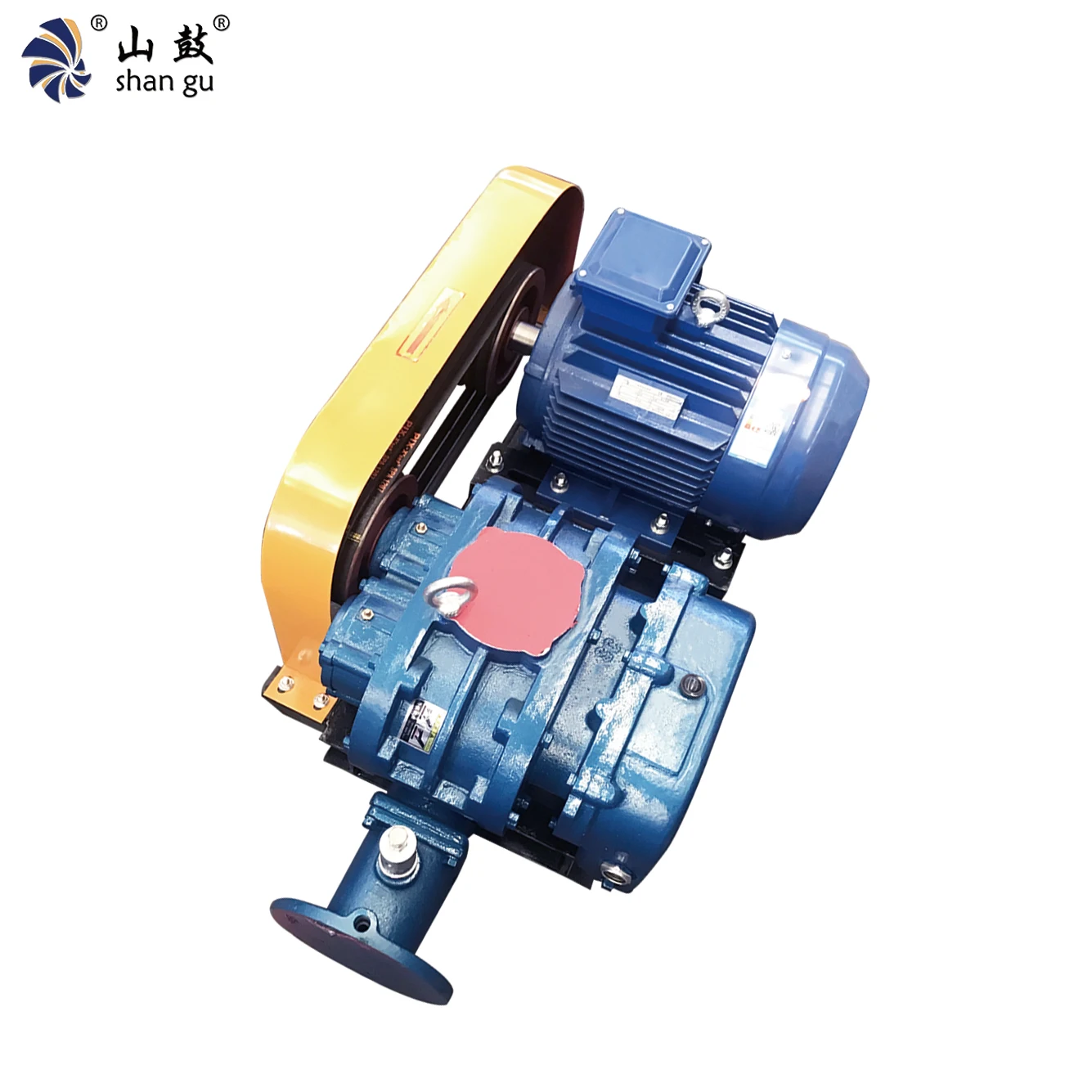 

High Quality Famous Type Stainless Steel Roots Blower RSR-100 Double Oil Tank Air Cooling Pneumatic Conveying Bio Blowers