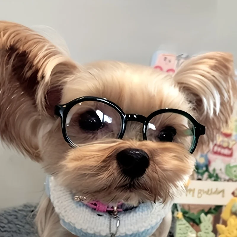 Trendy Mini Glasses for Small Dog Cat Doll Funny Fashion Eyewear Pet Dress Up Accessories Photography Shooting Props