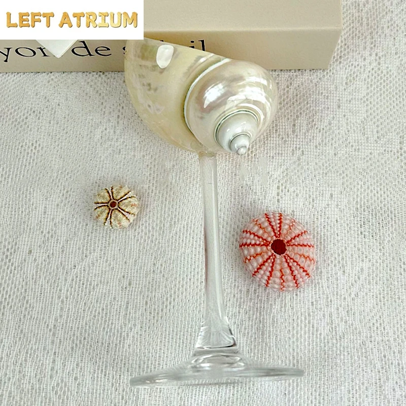 Tasse à pieds hauts en conque naturelle faite à la main, Design de Base transparente, ensemble de boissons pour Cocktail, ornements artistiques décoratifs de bureau