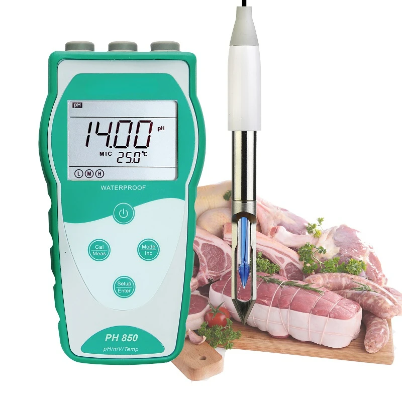 

PH850-BS Portable pH Meter for meat pH (Direct Measurement), Equipped with LabSen763 Electrode