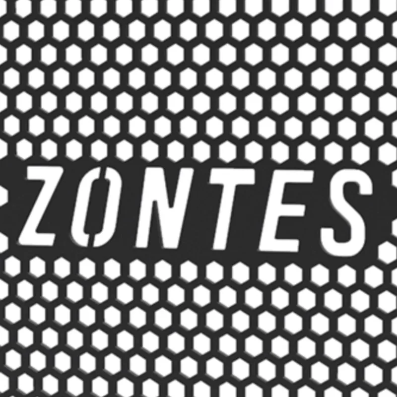 

For Zontes 125-Z2 G1-125 ZT125 ZT125-U 125-U1 ZT125-G1 Radiator Guard Cover Cooler Protection Accessories 2020-2022-2023-2024