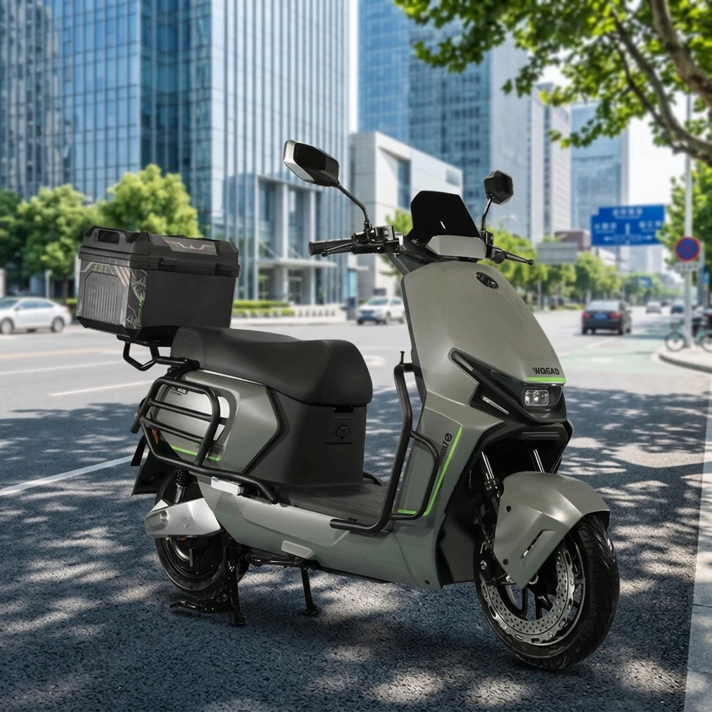 2026 New Design Intelligent High-Power 3000-Watt Motor Electric Motorcycle Disc Brake -Controlled Electric Bicycle