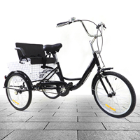 Black 20 Inch One Speed Tricycle Road Bike 3 wheel Cycle High-carbon Steel Bicycle Triangular Pedicab with Basket and Kid's Seat