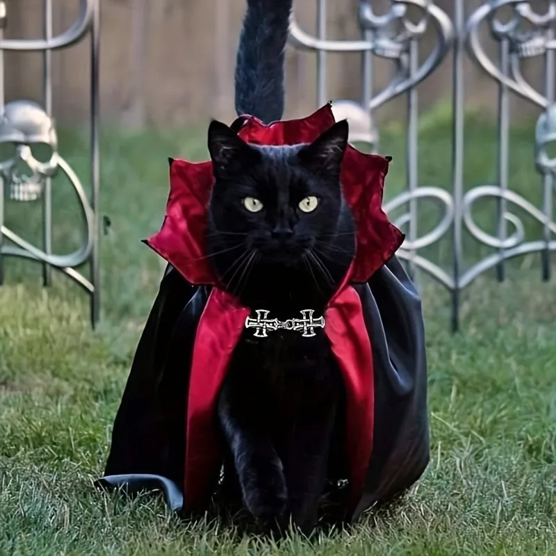 Vampire Cat Costume – detail image 4