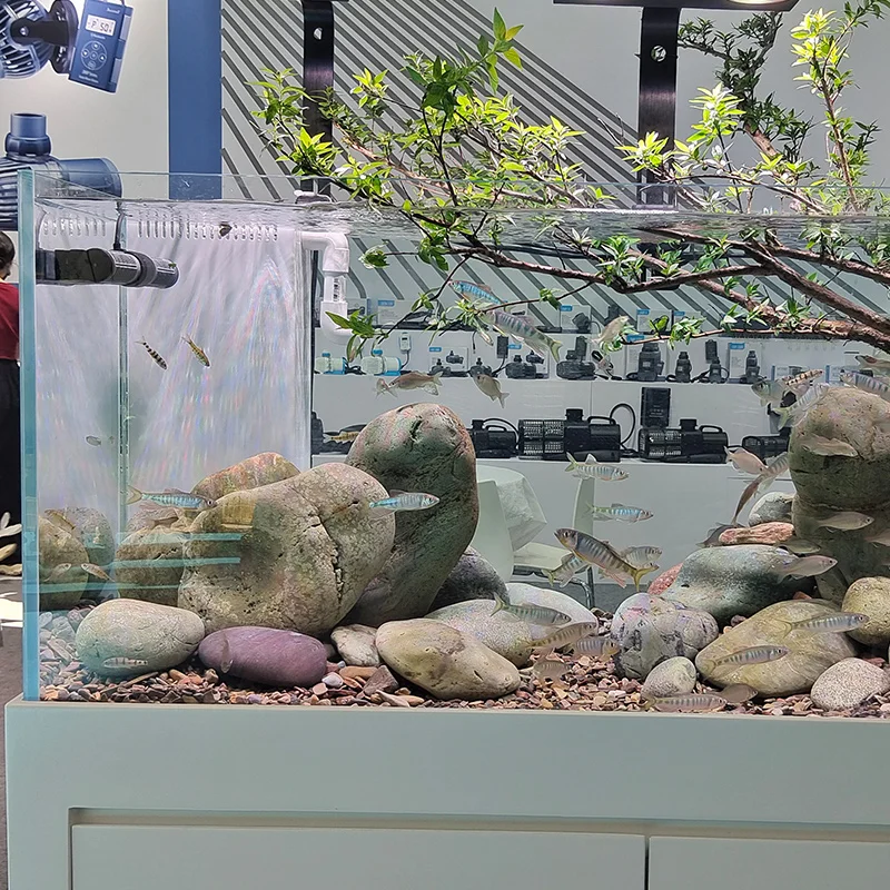 Fish tank aquarium tank bottom filter living room glass Lanshou stream tank bag back overflow ecological sea view 3
