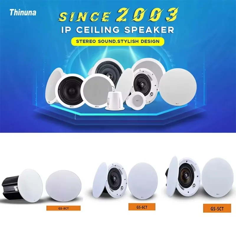 

Thinuna MS-10SUB Public Address Sound System High Quality Heavy Bass Ceiling Subwoofer In-ceiling Woofer Bass Speaker
