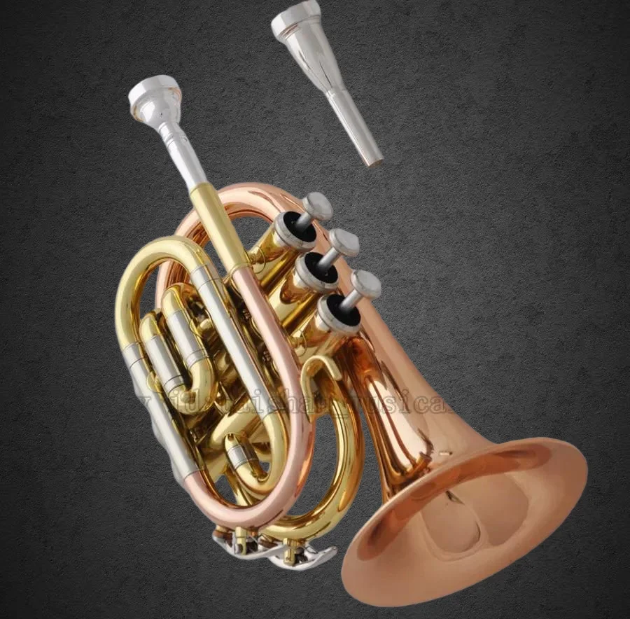 

New 190s-37 Trumpet Pipe Flat Instrument Brass Strudents Trumpet