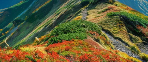 

Solar Cables 3m Battery Alligator Clip Wire 2.5 Square Wire Core Flexible Alligator Clip Wire Solar Panel Accessories