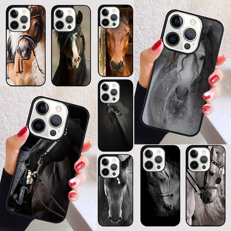 Horse Beautiful Cov…