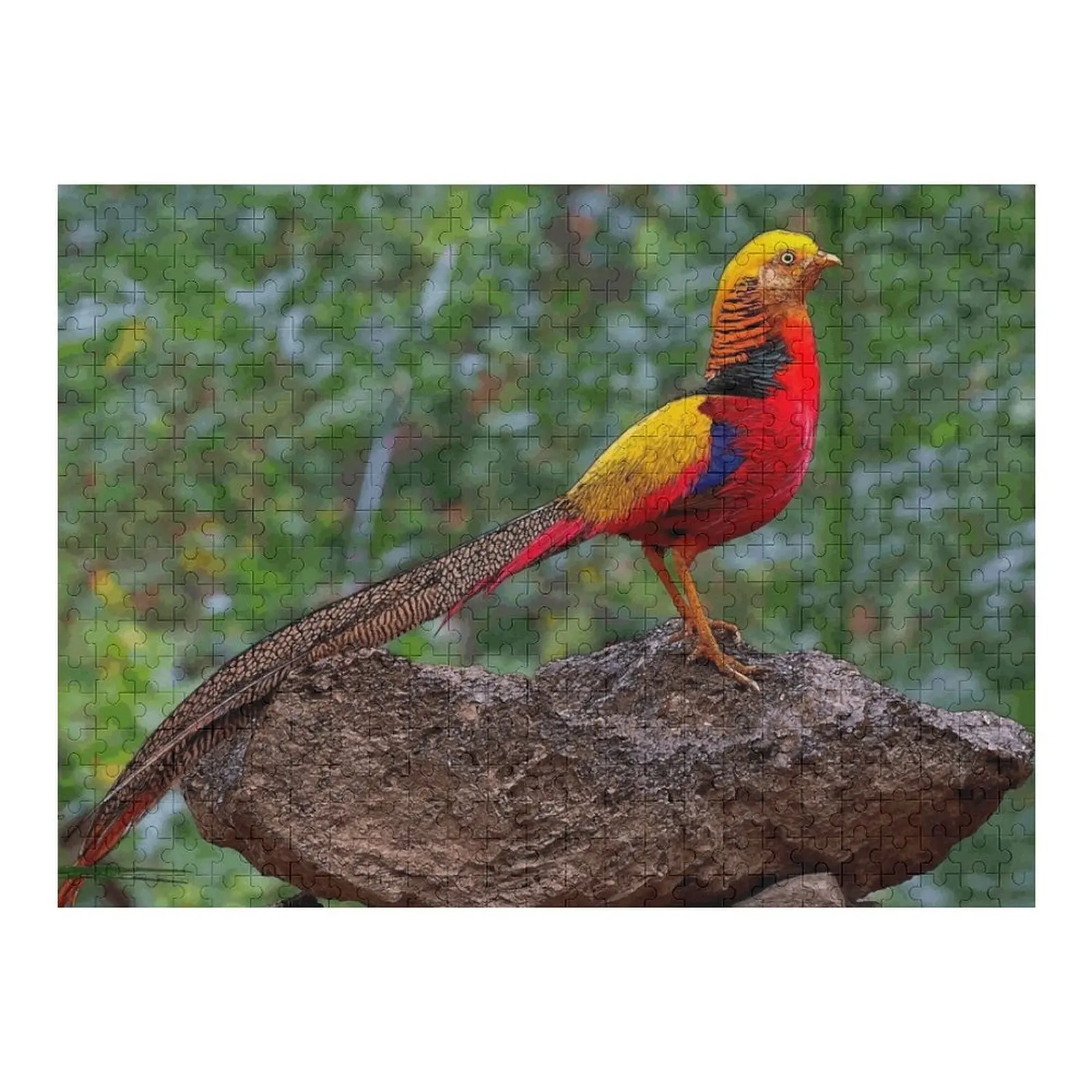 Puzzle de dessin de faisan doré, nouveaux jouets en bois pour adultes et enfants, 2022